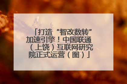 打造“智改数转”加速引擎！中国联通（上饶）互联网研究院正式运营（图）